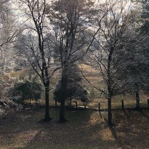 Meet your Posher, Dee